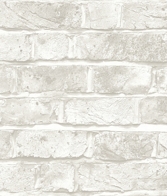 ���� Mayflower  Transition 31710