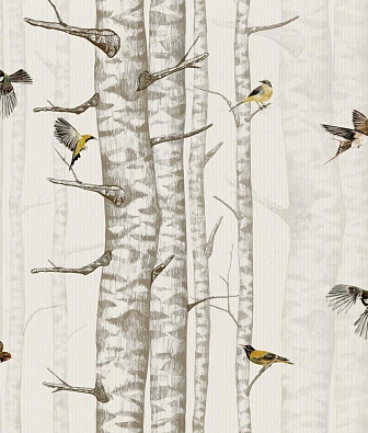 ���� Coordonne Naturae 9500041N