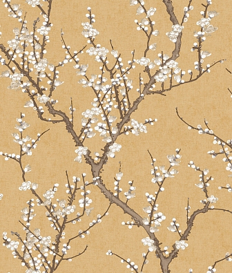  Aura Spring 1903-2