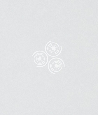 ���� Designers Guild Castellani P593-01