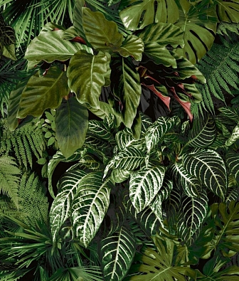  Grandeco Ciara A58601