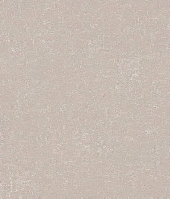 ���� Brewster Evolution 1 BWE01515