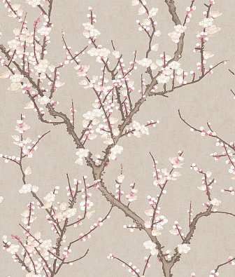 ���� Aura Spring 1903-3