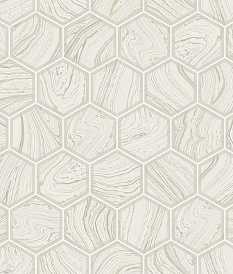 ���� Jaima Brown Anthology Resource DB10705