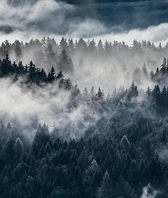  Hygge Wall Collection 4 H11281