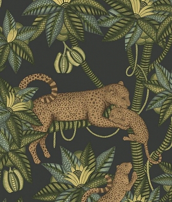 ���� Cole & Son Ardmore Jabula 119-3016