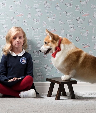 ���� Milassa Bon Voyage D6 006