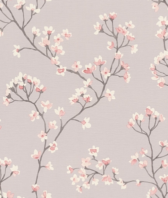 ���� Rasch Beltesto 792713