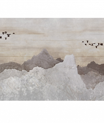 ���� Brewster New Creator 5 CBY028