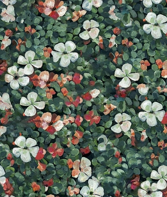 ���� Coordonne Naturae 9500001N