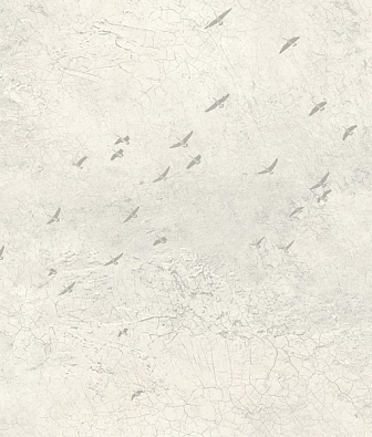  Mayflower  Transition 31005