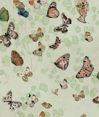 ���� Coordonne Naturae 9500053V