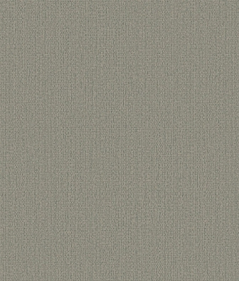 ���� Brewster Evolution 4 BWE04525