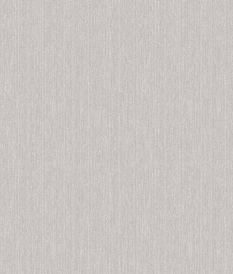 ���� Brewster Evolution 2 BWE02419