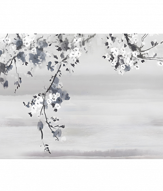 ���� Brewster New Creator 5 CBY126