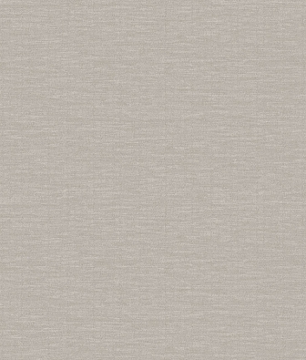 ���� Brewster Evolution 2 BWE02415