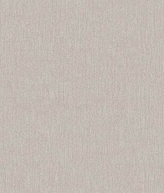 ���� Brewster Evolution 2 BWE02406