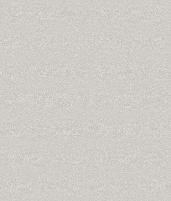 ���� Brewster Evolution 5 BWE05624