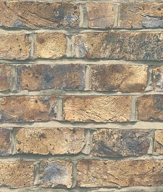 ���� Mayflower  Transition 31702