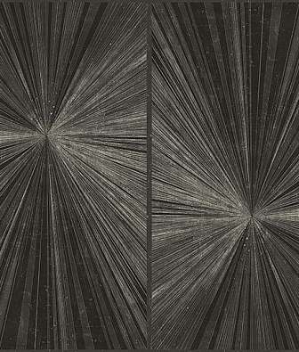 ���� Wall & deco 2016 WDFL1601