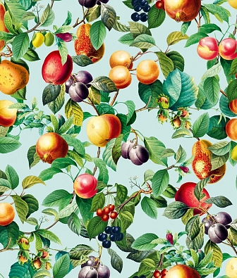 ���� Marburg Gloockler Pompoos Provence 35633