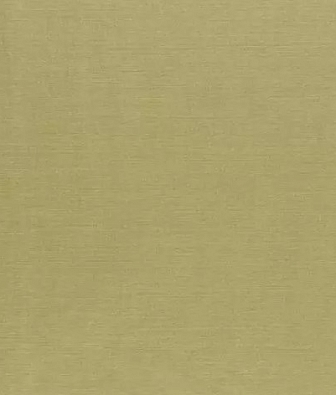 Designers Guild Arietta F1868/13