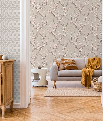 ���� Aura Spring 1903-3