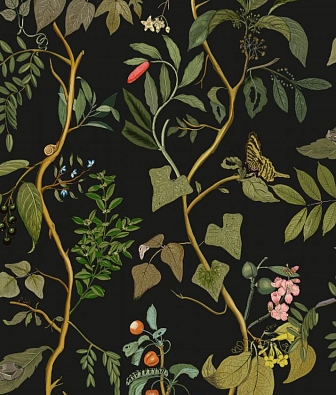 ���� Coordonne Maximalism 9300014N