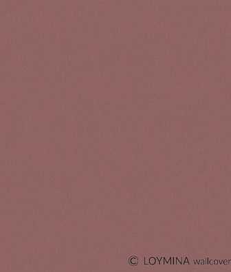  Loymina Renaissance NK4 020