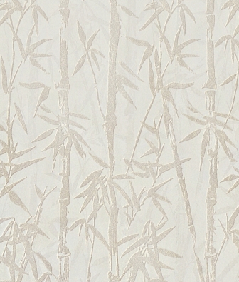 ���� Aura Zen 220320