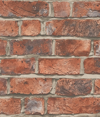 ���� Mayflower  Transition 31711