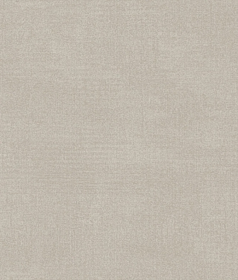 ���� Brewster Evolution 5 BWE05615