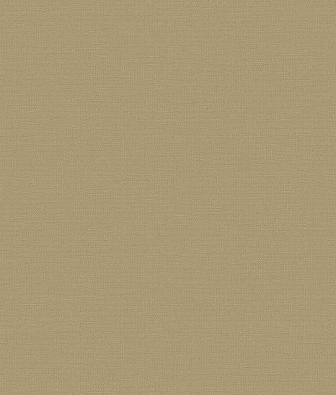 ���� Loymina Equator QTR8 002/1