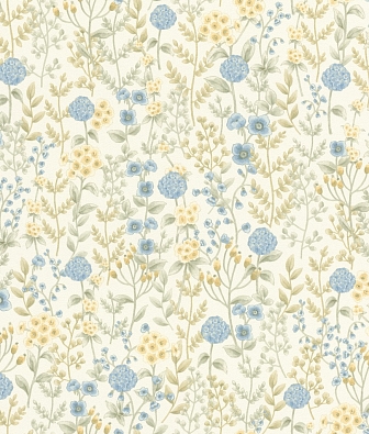 ���� Rasch Beltesto 793710