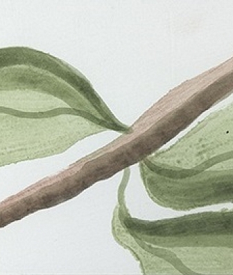 ���� Marburg Horus 58723