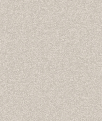 ���� Brewster Evolution 5 BWE05601