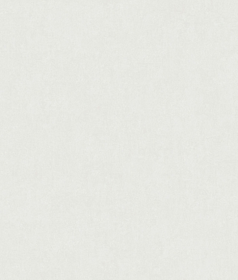 ���� Artsimple Valley ARTS13 106/1