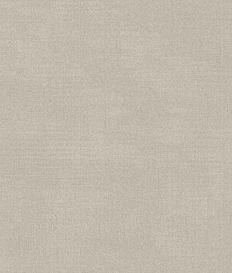 ���� Brewster Evolution 4 BWE04523