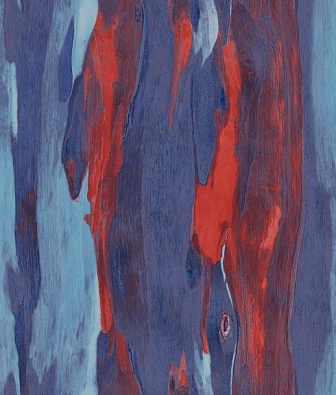 ���� Mayflower  Aerial fj020204