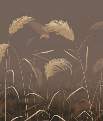 ������ Pinegin Grassy K203-COL3