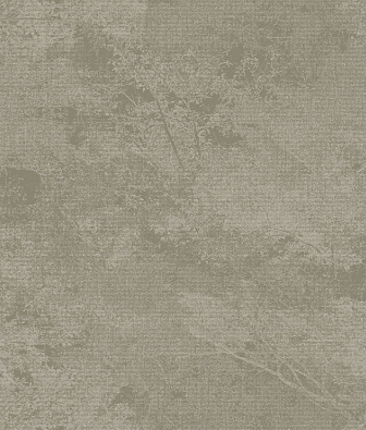 ���� Brewster Evolution 3 BWE03502