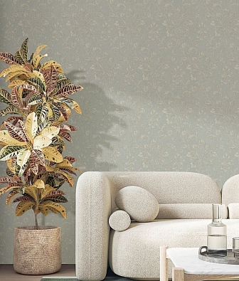 ���� Brewster Evolution 2 BWE02102