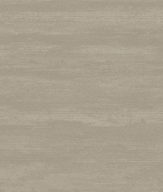 ���� Brewster Evolution 5 BWE05203