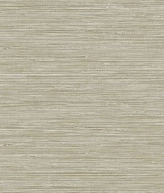 ���� Carl Robinson Edition 17 80806 CR