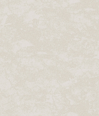 ���� Brewster Evolution 11 R25325Q