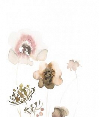 ���� Marburg Crush Motion 63494