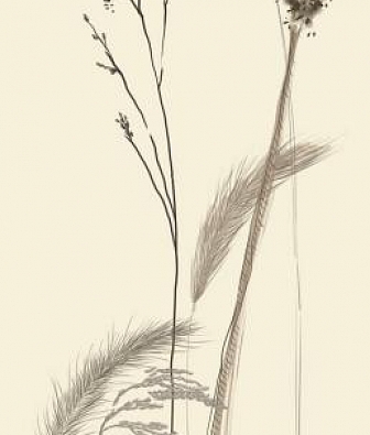 ���� Marburg Crush Motion 63487