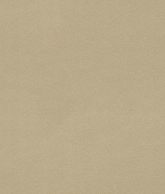 ���� Rasch Denzo II 806892