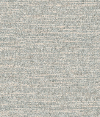 ���� Brewster Evolution 5 BWE05401