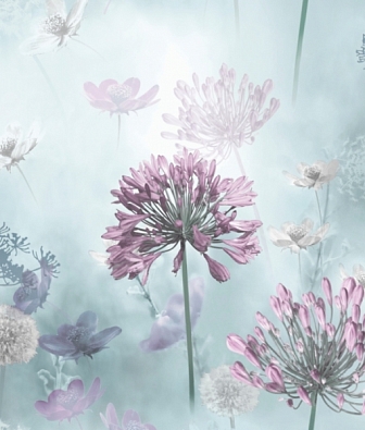 ���� Arthouse Options 3 697400